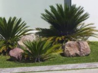 /album/fotogaleria-jardineria-y-paisajismo/images-16-jpg/